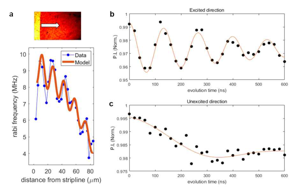a. Rabi 주파수를 이용하여 측정한 마이크로스트립에서 부터의 거리에 따른 스핀파의 크기. b. 방향에 따라 Rabi 주파수가 달라지며, 이를 통해 스핀파의 비상호성을 확인할 수 있다. 고려대학교 이동헌 교수 연구팀의 장비로 측정함