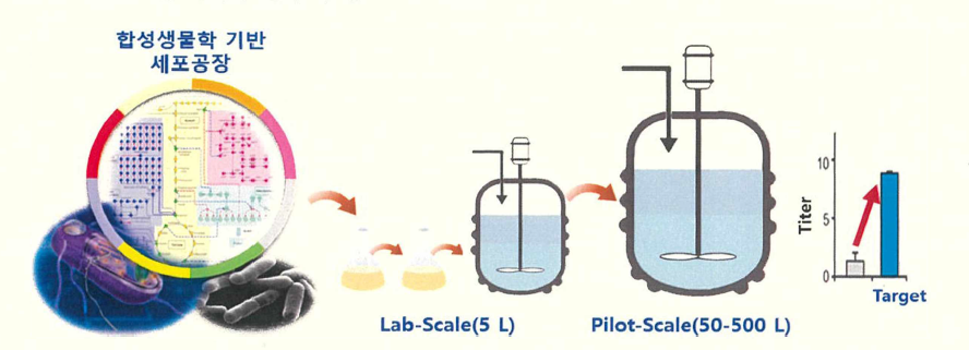 진세노사이드 대량 생산을 위한 Pilot scale 발효 (500L) 공정 개발 모식도