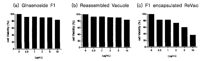 Ginsenoside F1, ReV 및 개발소재 액포의 세포 생존율 확인 결과 (a) Only F1 treatment, (b) Reassemble Vacuole treatment, (c) F1 encapsulated Reassembled Vacuole treatment