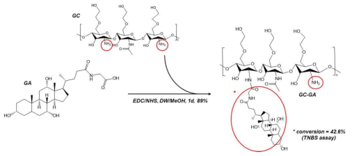 Glycol chitosan-glycocholic acid(GCGA) EDC/NHS 합성 모식도 및 TNBS assay glycol chitosan 아민기 치환 분석