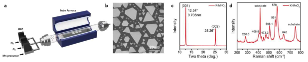 (a) K-MnO2 플레이크 성장을 위한 MOCVD 시스템 모식도. MOCVD 공정으로 성장한 K-MnO2의 (b) 광학 이미지 (c) X선 회절 분석 (d) 라만 분광분석