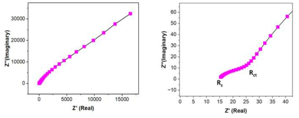 전기화학 임피던스 분광법(EIS, electrochemical impedance spectroscopy) 결과