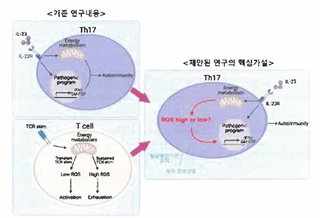 제안된 연구의 핵심가설