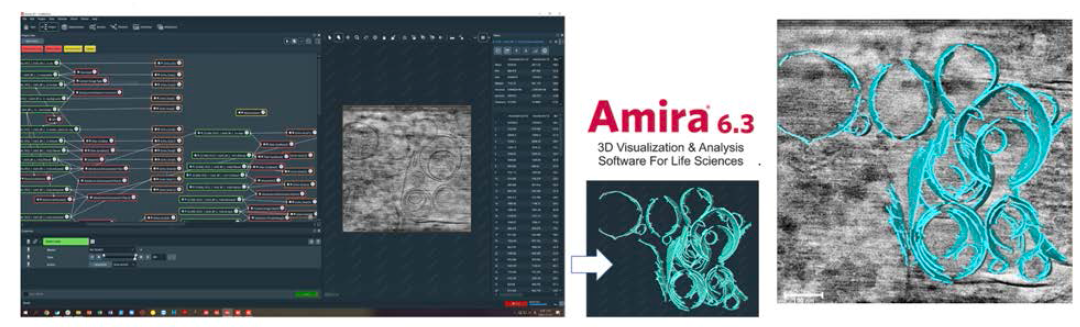 Cryo-ET data processing program Amira