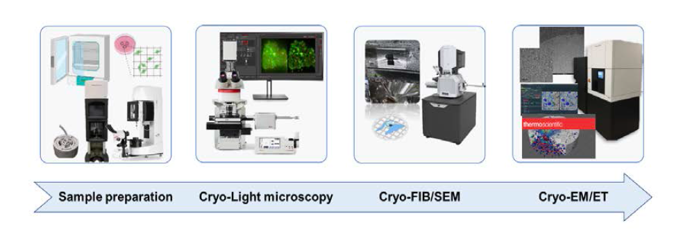 Cryo-ET work-flow