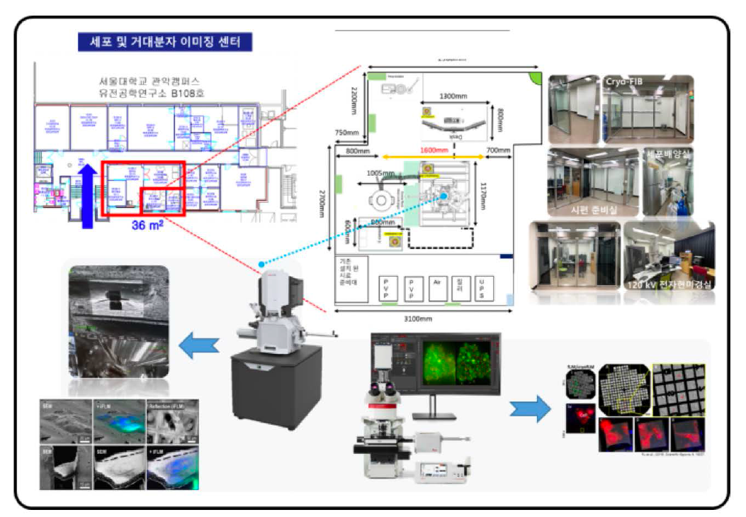 센터 내 cryo-CLEM 장비 구축 pipeline