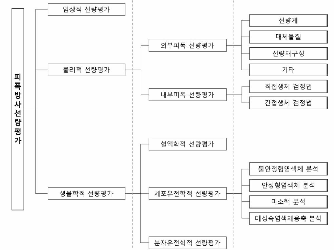 피폭방사선량 평가 종목