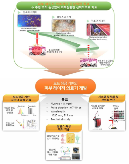 연구 개발 개요