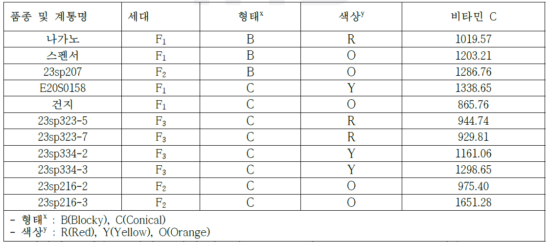 파프리카 형태별 및 색상별 비타민 C(mg/100g) 분석(2023)