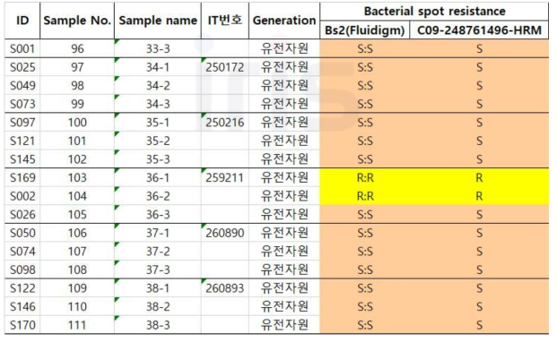 Comparison of genotypes between BS2 Fluidigm SNP marker and C09-248761496-HRM marker