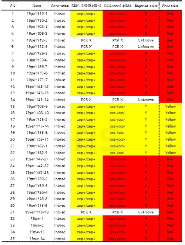 Results of ZEP1.2-SNP and CCS-indel1 HRM markers validation in inbred lines