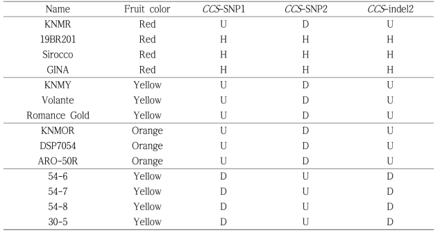 Genotyping data in F1 paprika and germplasm using developed newly three markers, CCS-SNP1, CCS-SNP2 and CCS-indel2 HRM markers