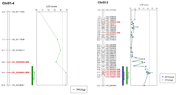 Graph of LOD score for three QTLs (qTPC-Aug1.1, qABT-Aug3.1, and qTPC-Aug3.1) linked to antioxidant acitivity (ABTS) and total polyphenol content (TPC) by CIM (composite interval mapping) on chromosome 1 and 3. Graph of LOD score was obtained using Mapchart ver. 2.2. The left side represents the cM of the genetic linkage map, and the right side represents the marker name (black, GBS-based SNP marker; red, GBS-based HRM marker). *Marker with highest LOD score