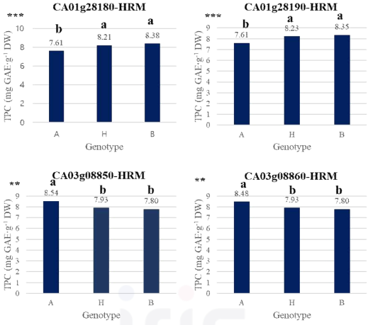 Comparison of total polyphenol content (TPC) according to genotypes of the developed gene-based markers in ‘Hera Red’ F2 population. Duncan's multiple range test at *p < 0.05, **p < 0.01, and ***p < 0.001