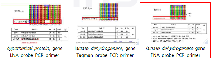 뿌리이상비대병 프라이머 디자인 및 PCR 조건