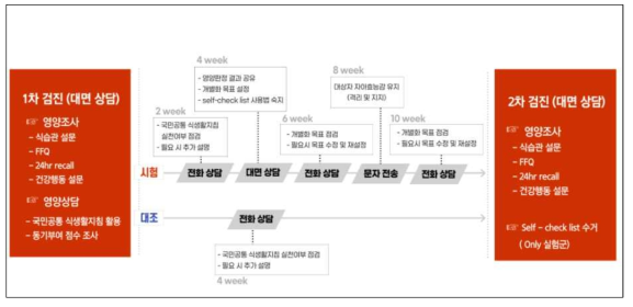 시험군의 영양 중재 flow chart