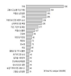 2010년 세분류 질환군별 조기사망으로 인한 질병부담 순위 결과