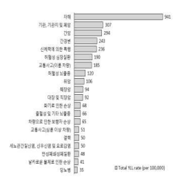 2018년 세분류 질환군별 조기사망으로 인한 질병부담 순위 결과