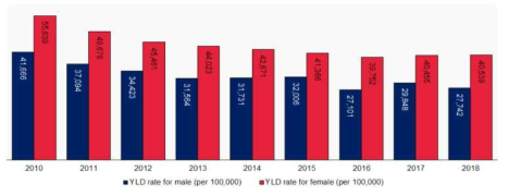 상병으로 인한 연도별 질병부담 경향 남녀 비교 결과 (2010-2018년)