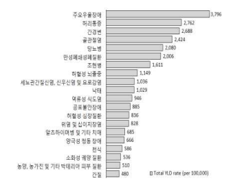 2018년 세분류 질환군별 상병으로 인한 질병부담 순위 결과