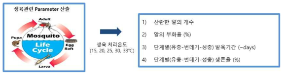 생육 paramter 산출과정