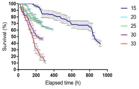 빨간집모기 생육 온도 별 시간에 따른 생존율 Graphs indicates survival and elapsed time from egg hatch to adult emergence. The linear slopes of 15, 20, 25, 30, and 33℃ were -0.05984, -0.1277, -0.1119, -0.2141, and -0.3389, rspectively (R2=0.9335, 0.9622, 0.9396, 0.9697, and 0.9773, respectively)