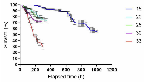 흰줄숲모기 생육 온도별 시간에 따른 생존율 Graphs indicates survival and elapsed time from egg hatch to adult emergence. The linear slopes of 15, 20, 25, 30, and 33℃ were -0.04856, -0.08701, -0.09297, -0.1141, and -0.2786, rspectively (R2=0.9335, 0.9622, 0.9396, 0.9697, and 0.9773, respectively)