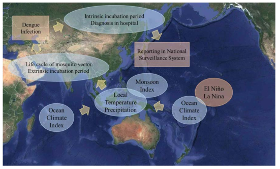 해외 유입 국내 뎅기열 환자 발생 예측 모형 개념도