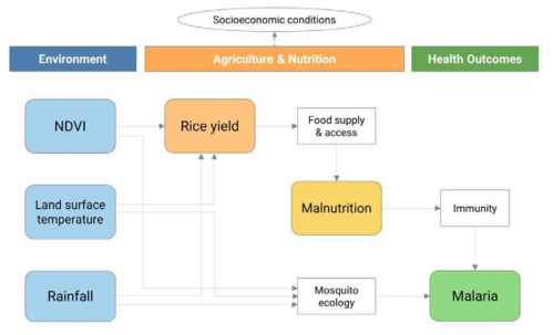 위성 원격자료를 활용한 식량 생산 수준과 말라리아 발생과의 개념도