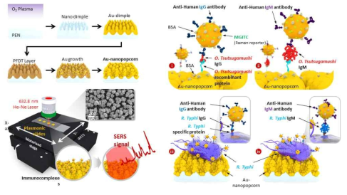 급성 열성 질환 다중검출용 3D 금 나노-팝콘 플라즈모닉 기판 원리