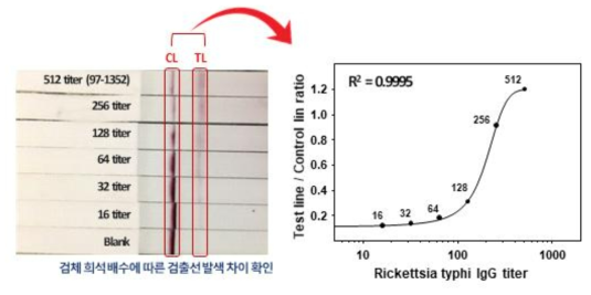 발진열 IgG 항체 검출용 라만 래피드키트 정량곡선