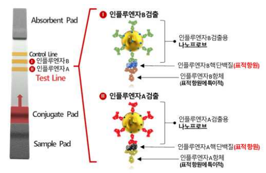 인플루엔자 A/B 동시 검출용 라만 래피드키트 구성도