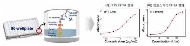 항원·항체 성능평가를 위한 효소 면역 측정법(ELISA) 원리