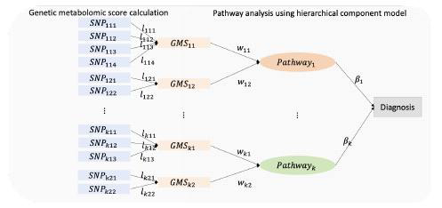 HisCoM 모형기반 대사체, SNP 통합분석 방법