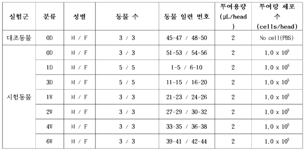 분자영상 생체 내 분포 평가를 위한 시험동물 정보