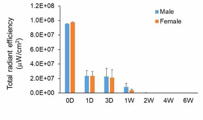 Fluorescent intensity expressed as total radiant efficiency in spinal cords injected with spheroids composed by 1 x 105 CM-Dil-labeled nerve derived stem cells during 6 weeks of injection