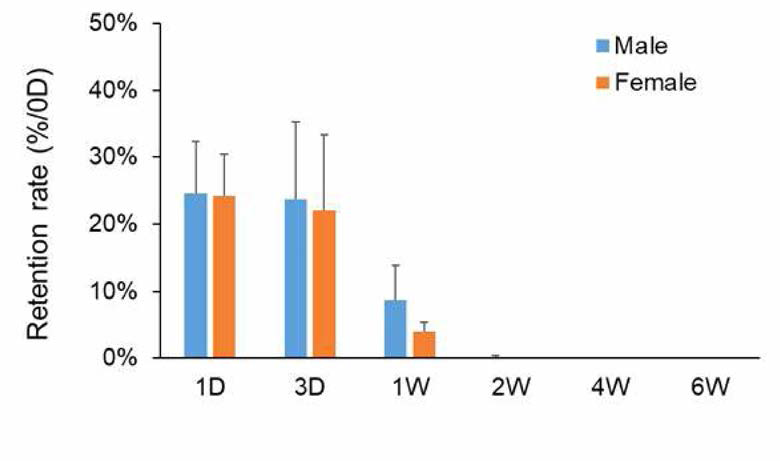 Retention rate(%) of spheroids composed by 1 x 105 CM-Dil-labeled nerve derived stem cells in the spinal cords during 6 weeks