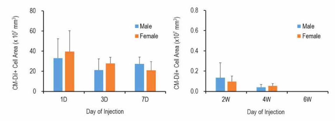 Retention volume in the spinal cord injected with spheroids composed by CM-Dil labeled nerve derived stem cells during 6 weeks of injection