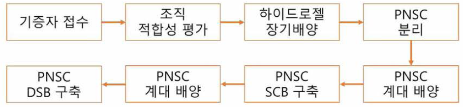 원료세포 제조 주요 공정 및 세포은행 구축 절차. PNSC, 말초신경 유래 NCSCs; SCB, Seed Cell Bank； DSB, Drug Substance Bank