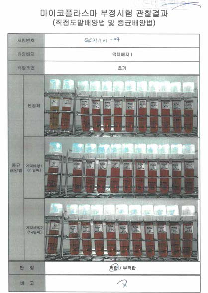 PPLO I Broth에서 28일 호기 배양을 통한 마이코플라즈마 시험