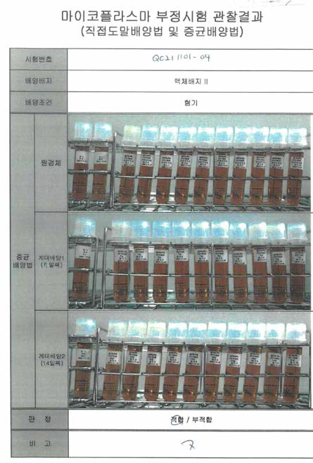 PPLO II Broth에서 28일 험기 배양을 통한 마이코플라즈마 시험