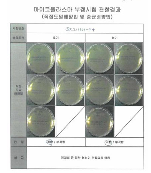 PPLO Agar에 도말하여 14일간 호기 및 28일 험기 배양을 통한 마이코플라즈마 시험