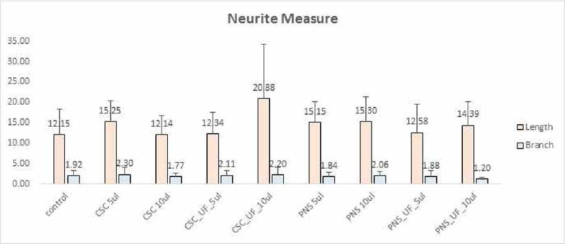 Axon sprouting length 및 synapse branch number 평가를 통한 NCSC의 신경활성도 평가법 정립