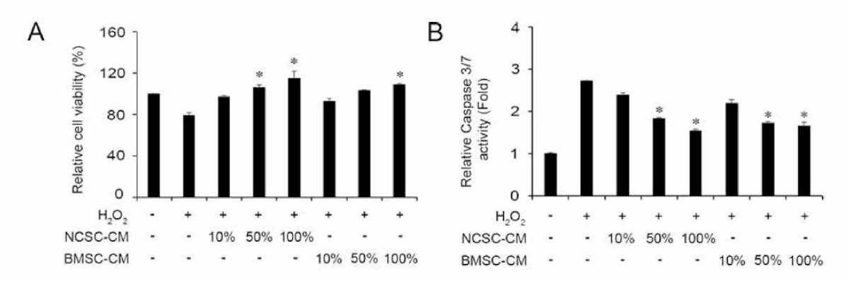 MTT 및 caspase 3/7 활성도 분석을 NCSC 유래 조건배지 (NCSC-CM)의 R0S-매개 SH-SY5Y 세포보호