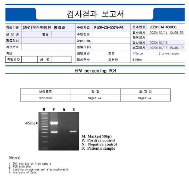 임상시험용 NCSC 원료세포의 HPV 검사결과 보고서