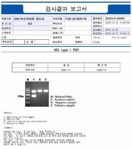 임상시험용 NCSC 원료세포의 HSV-I 검사결과 보고서