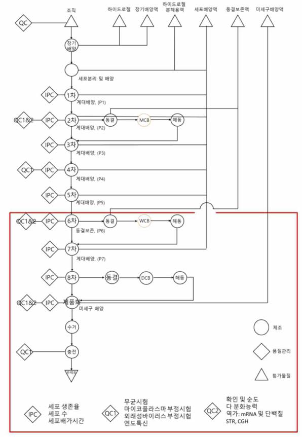 임상 시험용 NCSC 미세구 제조공정 흐름도