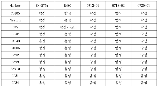 임 상 시 험 용 미 세 구 시제품의 확인 및 순 도 평가 용약서