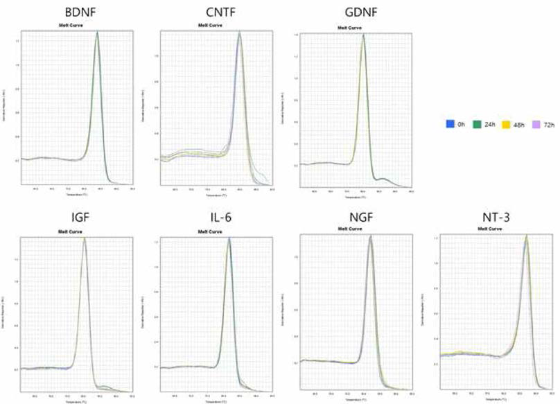 임상시험용 미세구의 신경활성인자 inRNA qPCR의 melting curve analysis