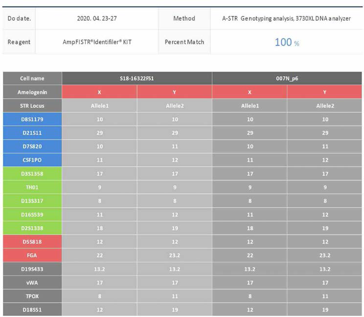 기원조직(S18-16322FS1)과 임상시험용 원료세포(007N, P6)와의 STR 프로파일